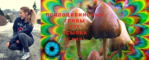 прущий лед Балахна
